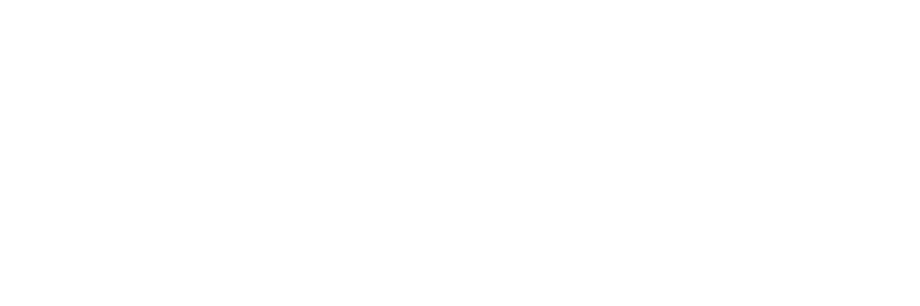 INESAD QR